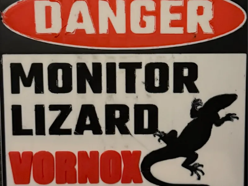 Monitor lizard - danger