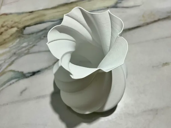 https://makerworld.bblmw.com/makerworld/model/DSM00000001966422/design/2025-11-06_e2358f6c044d2.jpeg