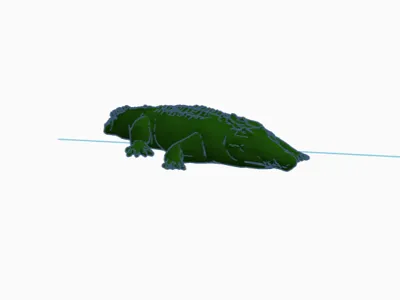 Crocodile 