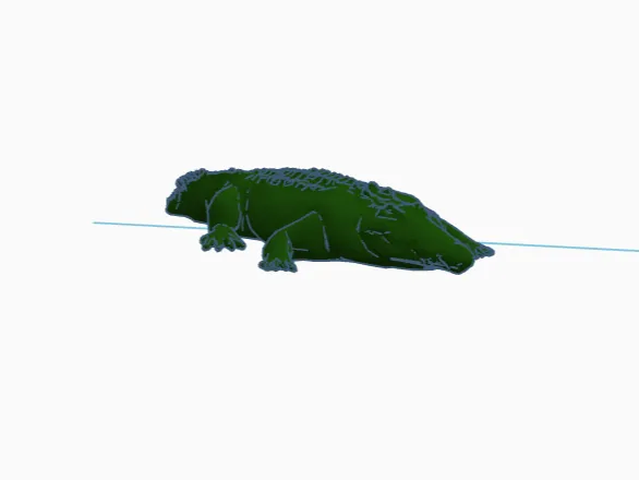 Crocodile 