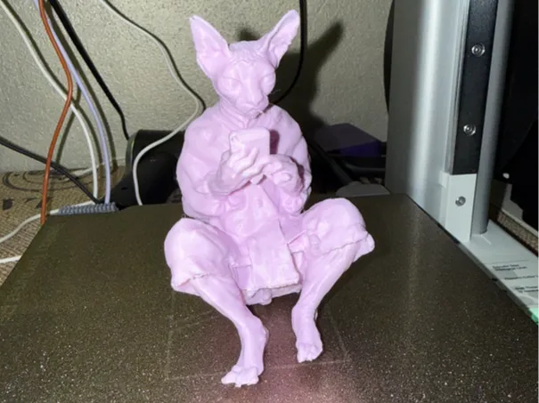 sphynx seduto con smartphone
