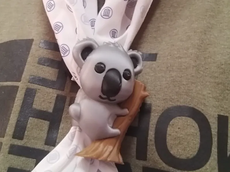 Koala sujeta pañuelos