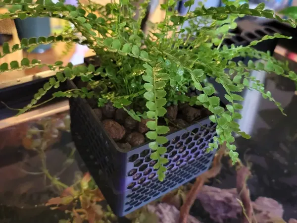 https://makerworld.bblmw.com/makerworld/model/DSM00000001967424/design/2025-11-06_db7dde055115c.webp