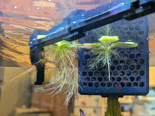 Autoleveling Aquarium Floating Plant Barrier