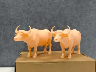 水牛