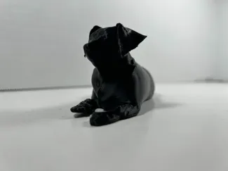 Tank The Dog