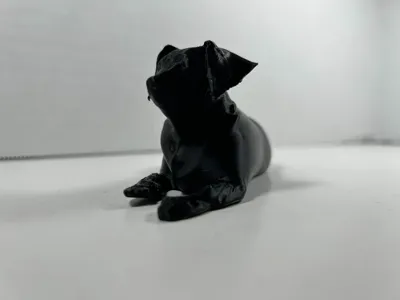Tank The Dog