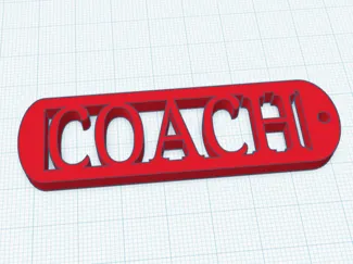 coach keychain 