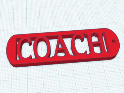 coach keychain 