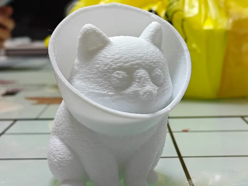 戴着伊丽莎白圈的猫猫