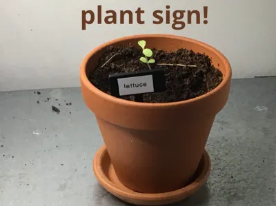 plant sign