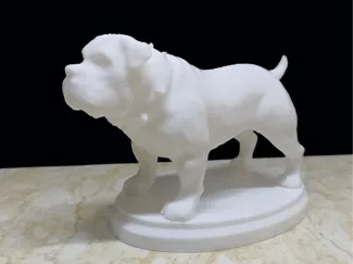 Bulldog musculoso