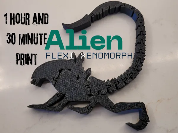 https://makerworld.bblmw.com/makerworld/model/DSM00000001977971/design/2025-11-09_11e14a92d534c.png