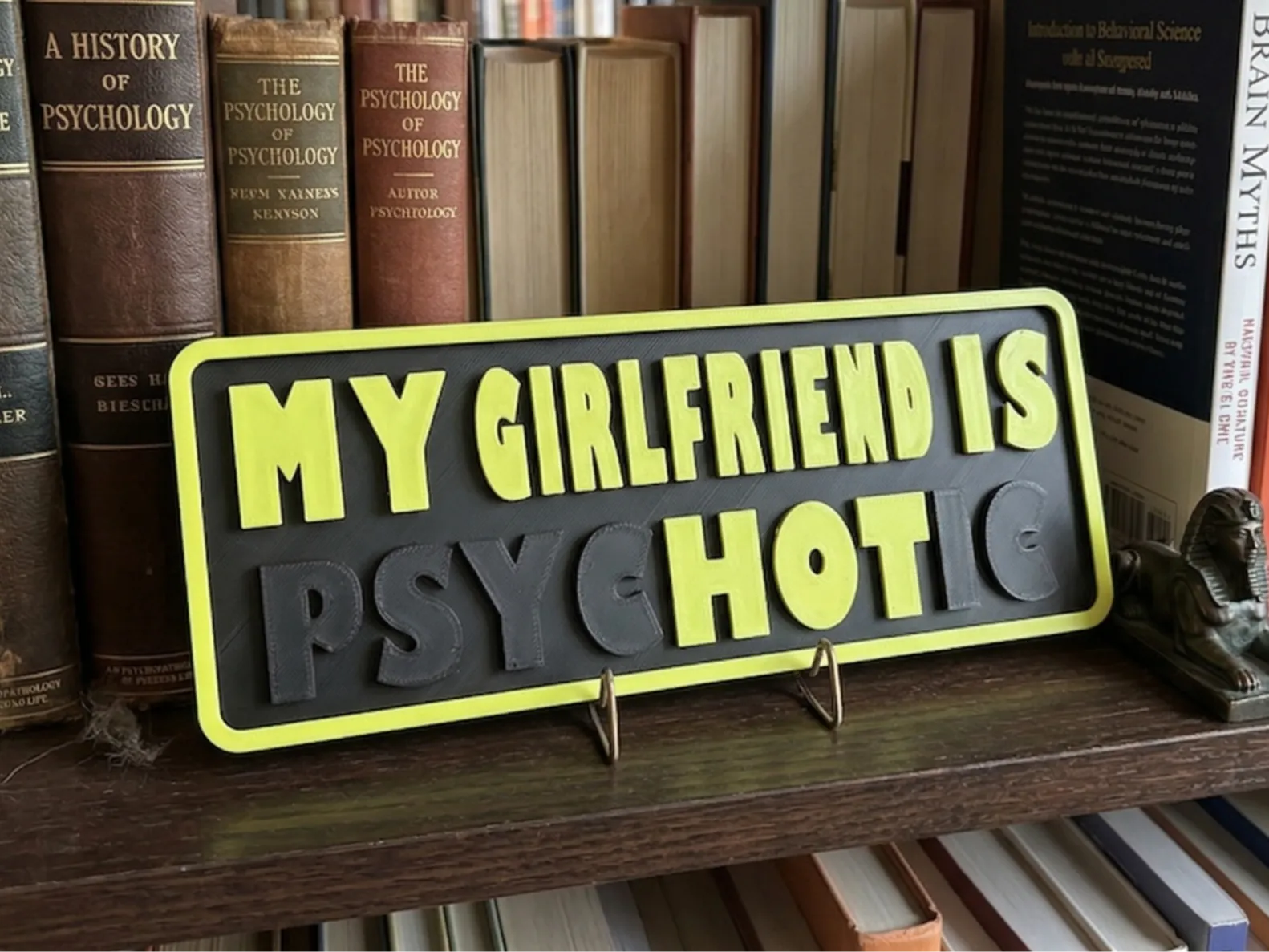 My Girlfriend is HOT /PSYCHOTIC Dual Meaning Prank