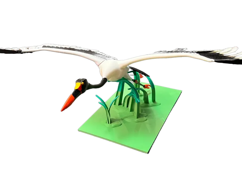 Saddlebill Stork - advanced print