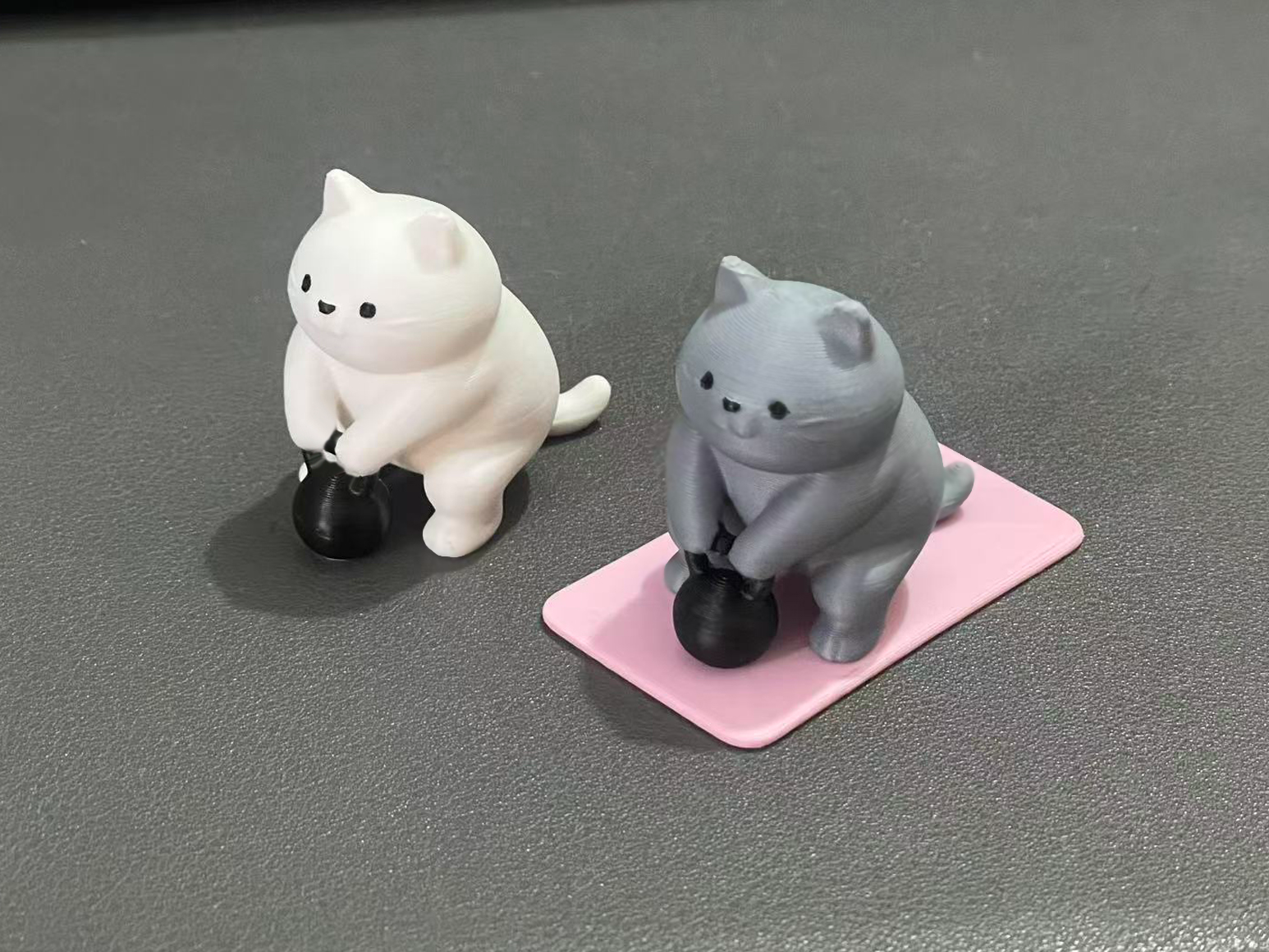 壶铃猫猫