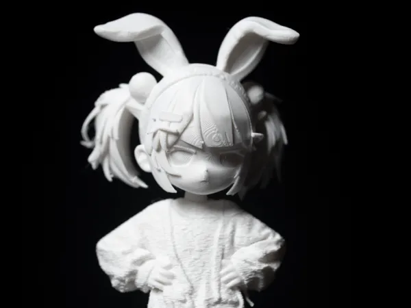https://makerworld.bblmw.com/makerworld/model/DSM00000001980176/design/2025-11-10_03217c8d69a548.jpg