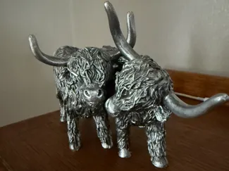 Highland cows