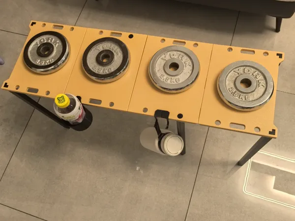 https://makerworld.bblmw.com/makerworld/model/DSM00000001980738/design/2025-11-10_c92680dd97319.jpg