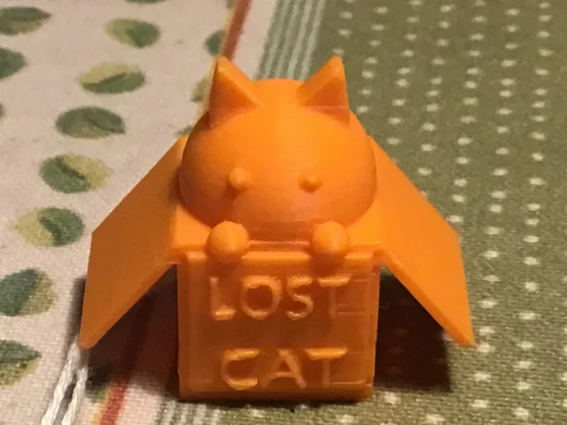 Cat in a box
