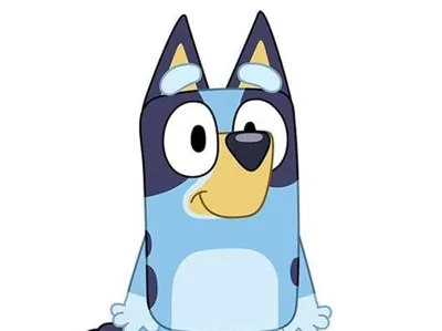 Bluey