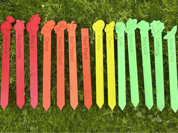 https://makerworld.bblmw.com/makerworld/model/DSM00000001983664/design/2025-11-10_94a40d29a90f.png