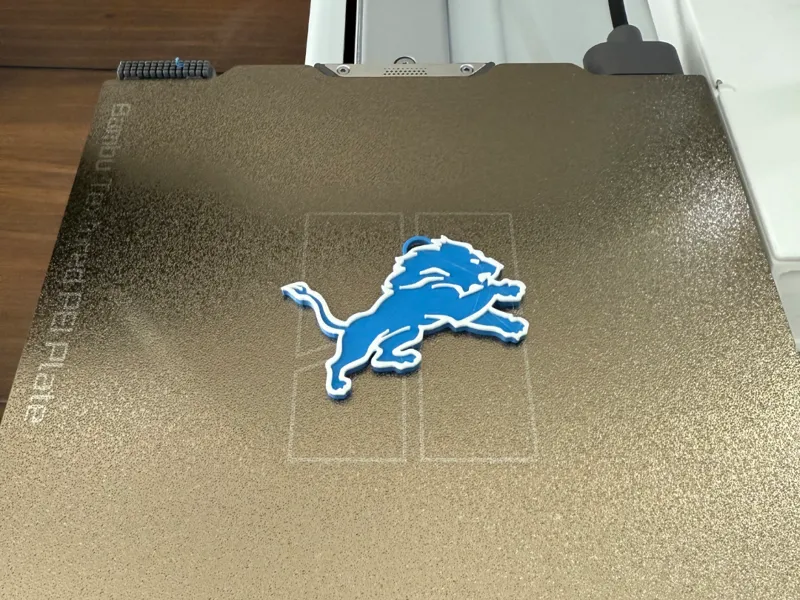 NFL Lions Keychain