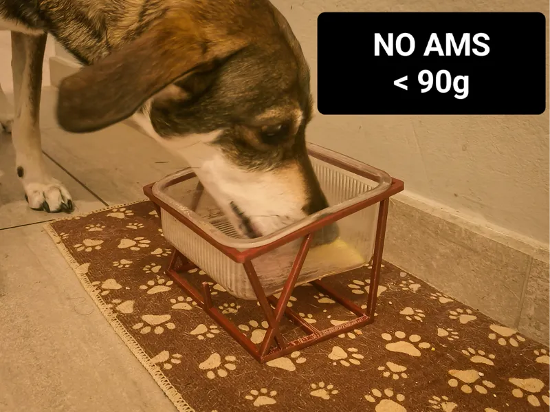 Dog Bowl Stand – 11° tilt for comfortable feeding