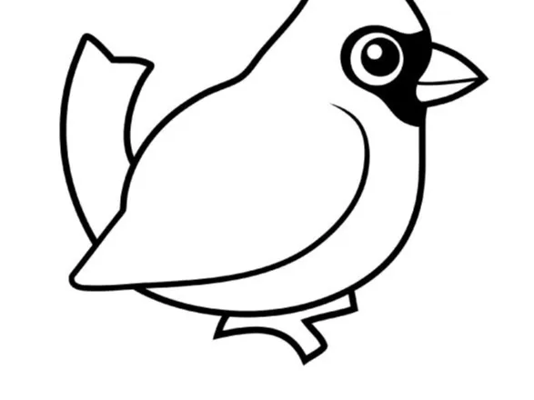 cardinal