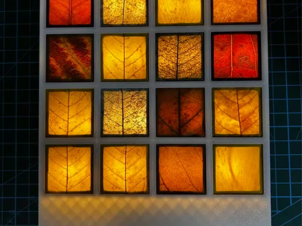 https://makerworld.bblmw.com/makerworld/model/DSM00000001987964/design/2025-11-12_4d60612e0c8968.jpg