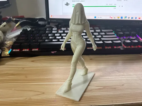 https://makerworld.bblmw.com/makerworld/model/DSM00000001988041/design/2025-11-11_8cedf655e1ade.jpg