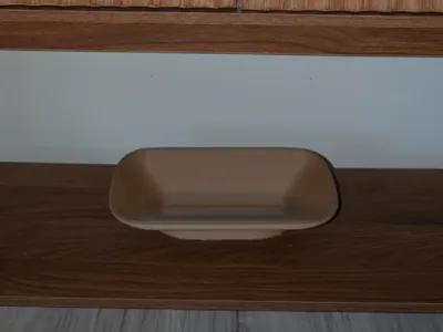 Catch All Tray