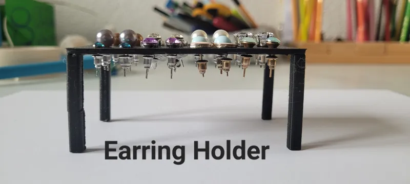 Ear Ring holder