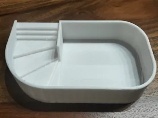 Piscina per piccole tartarughe di terra