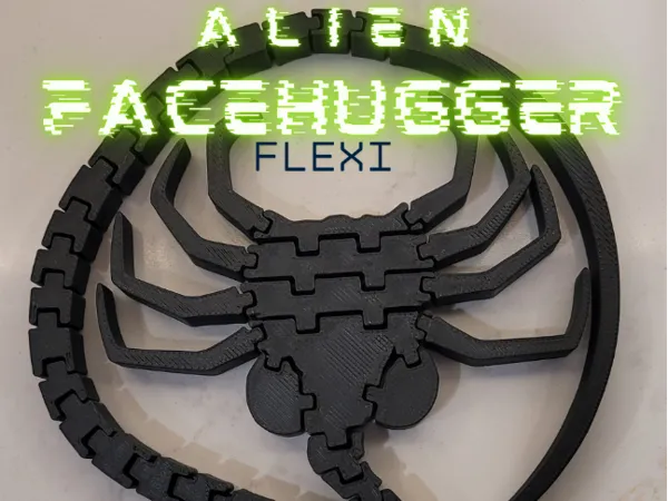 https://makerworld.bblmw.com/makerworld/model/DSM00000001990782/design/2025-11-12_e489606a2cd79.png