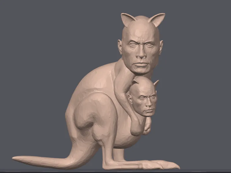 The Rock Kangaroo