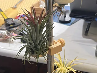 Air Plant Ring Holder (for IKEA PS 2014)
