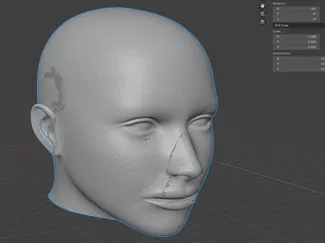 Anatomical Human Head Model