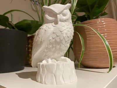 Owl