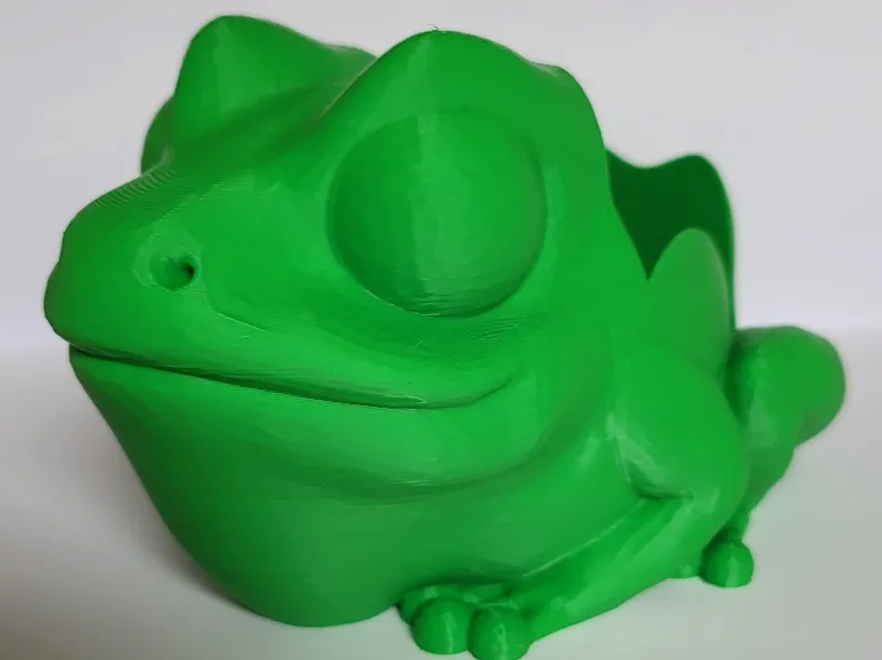 Bull Frog Soap Holder