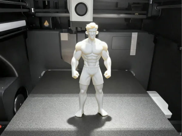 https://makerworld.bblmw.com/makerworld/model/DSM00000001994882/design/2025-11-14_a003bfa895d3b8.png