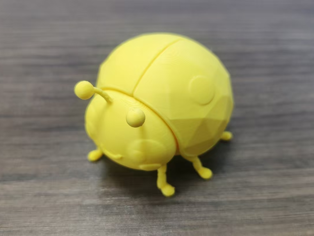 七星瓢虫