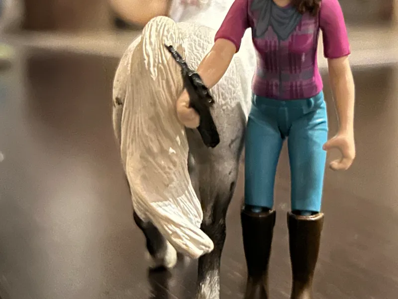 Schleich hoof pick 