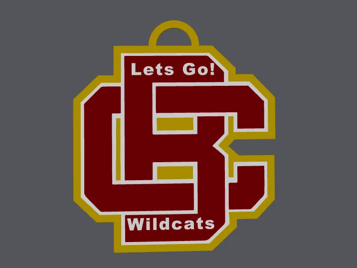 Bethune -Cookman University hype chain