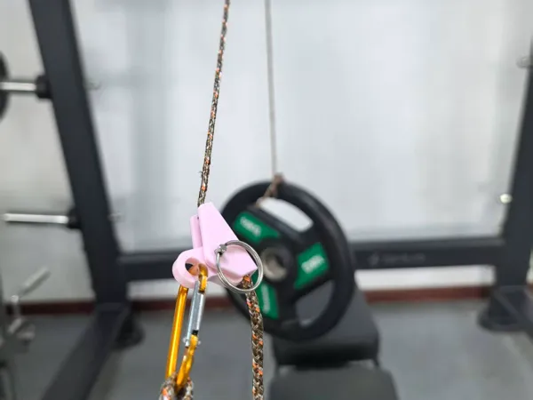 https://makerworld.bblmw.com/makerworld/model/DSM00000001998836/design/2025-11-15_f8a60e59a202a.jpg