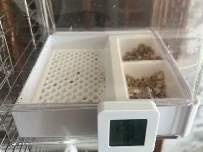 Parrot food bowl, feeder