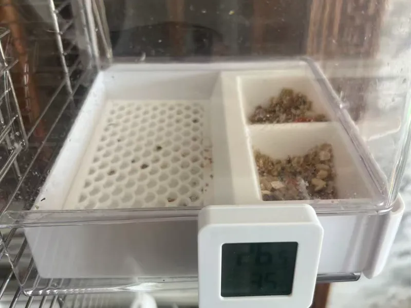 鹦鹉食盆，食盒