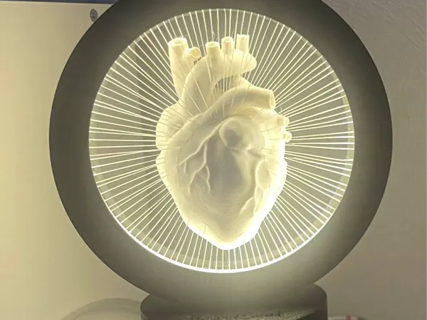 https://makerworld.bblmw.com/makerworld/model/DSM00000001999676/design/2025-11-15_145179d7a86288.jpg