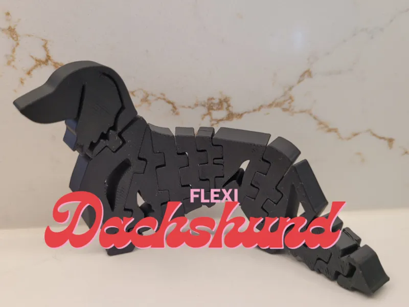 Flexi Dachshund
