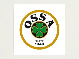 CAJA DE LUZ OSSA
